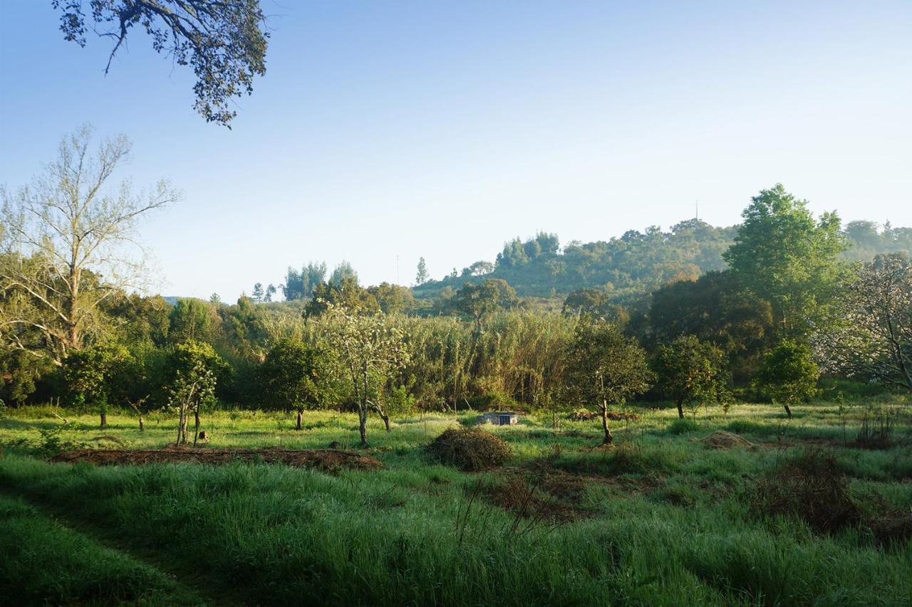 Moba - Monte Do Barranquinho Διαμέρισμα Sao Luis Εξωτερικό φωτογραφία