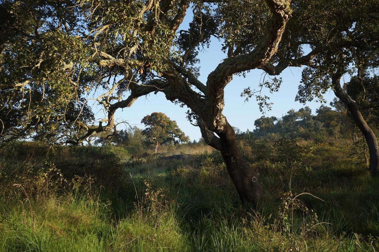 Moba - Monte Do Barranquinho Διαμέρισμα Sao Luis Εξωτερικό φωτογραφία